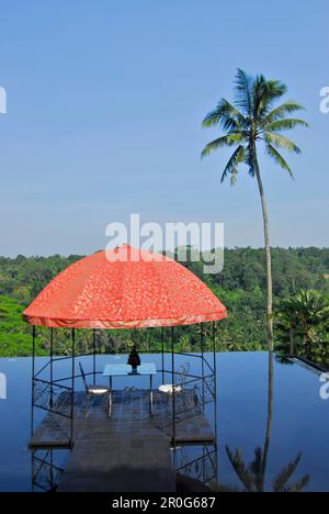 Bacino d'acqua con padiglione sul tetto di un ristorante, Kupu Kupu Barong Resort, Ubud, Indonesia, Asia Foto Stock