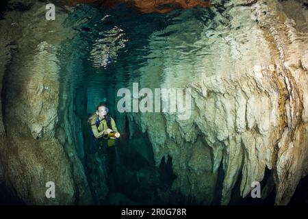 Tuffatore nella grotta di drippstone del lampadario, Micronesia, Palau Foto Stock