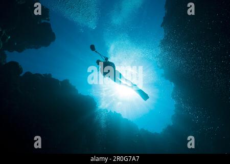 Tuffatore in Siaes Tunnel Cave, Micronesia, Palau Foto Stock