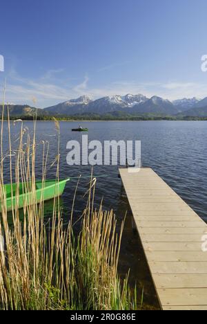 Pontile Lago Hopfensee con gamma di Tannheim in background, Allgaeu, Svevia, Baviera, Germania Foto Stock