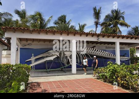 Il Museo del Mar, Boca del Rio, Isla Margarita, Nueva Esparta, Venezuela Foto Stock