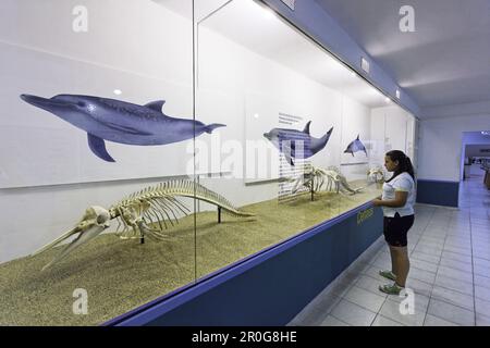 Il Museo del Mar, Boca del Rio, Isla Margarita, Nueva Esparta, Venezuela Foto Stock