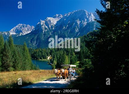 Carrozza trainata da cavalli nella luce del sole di fronte al lago Lautersee e montagne Karwendel, Baviera, Germania, Europa Foto Stock