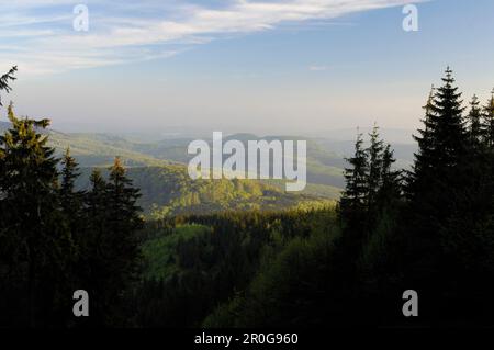 Vista da Inselsberg, vicino Brotterode, vicino Tabarz, Foresta Turingia, Turingia, Germania Foto Stock