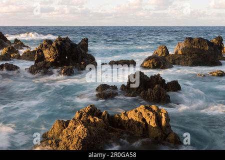 Onde che si infrangono sulle rocce laviche, Porto Moniz, Madeira, Portogallo Foto Stock