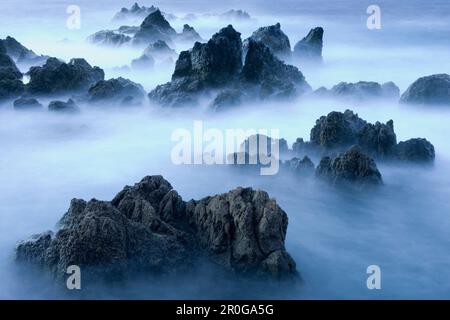 Rocce laviche al crepuscolo e circondato da acqua di mare, Porto Moniz, Madeira, Portogallo Foto Stock