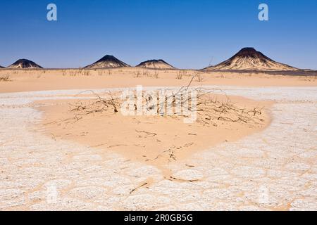 Deserto vicino a Bahariya Oasis, Egitto, deserto libico Foto Stock