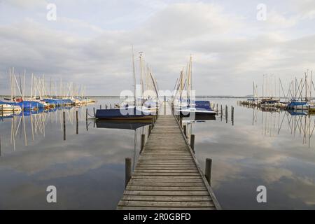 Marina, Lago Steinhude, bassa Sassonia, Germania Foto Stock