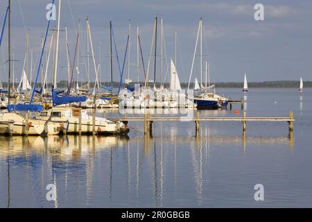 Marina, Lago Steinhude, bassa Sassonia, Germania Foto Stock