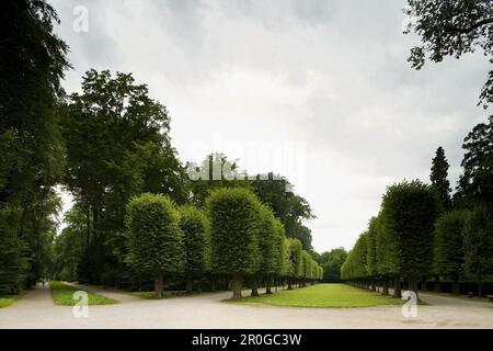 Giardini del palazzo del castello di Benrath, residenza estiva in stile rococò, vicino a Duesseldorf, Renania settentrionale-Vestfalia, Germania, Europa Foto Stock