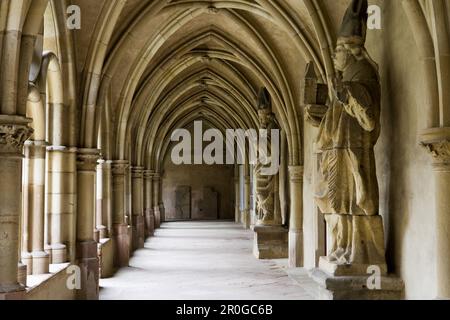 Chiostro nella cattedrale di Treviri, Cattedrale di San Peter, patrimonio culturale mondiale dell'UNESCO, Treviri, Renania-Palatinato, Germania, Europa Foto Stock