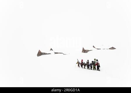 Gruppo di snowboard ascendente, Oberlaeger Alp, Reichenbach Valley, Oberland bernese, il Cantone di Berna, Svizzera Foto Stock