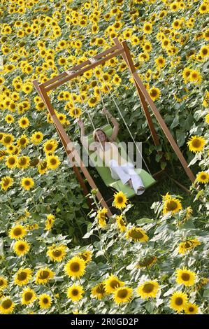 Giovane donna seduta su un'altalena in un campo pieno di girasoli, Baviera, Germania Foto Stock