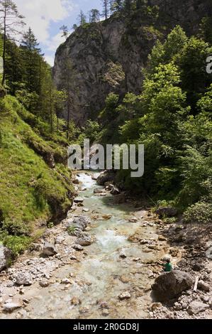 Ruscello di montagna vicino Tischofer Grotta, Kaisertal, Ebbs in Tirolo, Austria Foto Stock