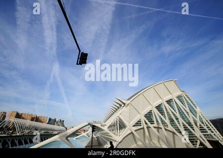 Edifici sotto il cielo nuvoloso, Ciudad de las Artes y las Ciencias, Città delle Arti e delle Scienze, progettato da Santiago Calatrava, Valencia, Spagna, Europa Foto Stock