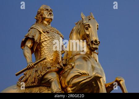 Der goldene Reiter, la scultura equestre d'oro del re Augusto il forte, agosto II, Dresda, Sassonia, Germania Foto Stock