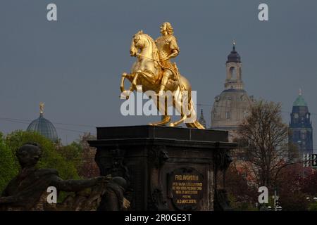 Der goldene Reiter, la scultura equestre d'oro di Re Augusto il forte, agosto II, con cupola della Frauenkirche, Chiesa di nostra Signora e città Foto Stock