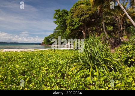 Isola nei pressi di Sorong, Raja Ampat, Papua occidentale, in Indonesia Foto Stock