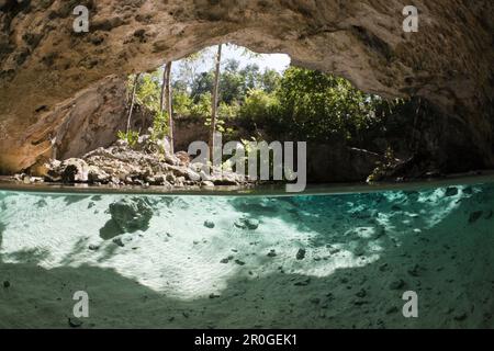 Ingresso della Gran Cenote, Tulum, la penisola dello Yucatan, Messico Foto Stock