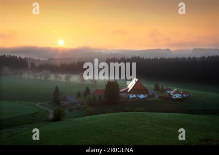 Foresta Nera casa in un paesaggio idilliaco al tramonto, Foresta Nera, Baden-Württemberg, Germania, Europa Foto Stock
