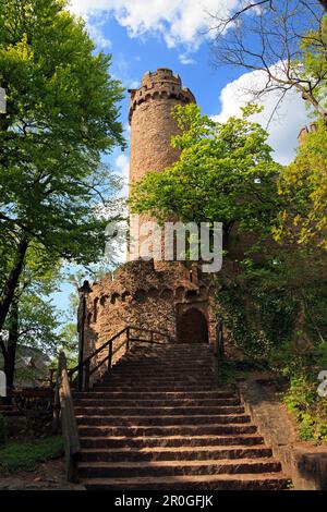 Torre sud con porta del castello, Auerbach castello, vicino a Bensheim, Hessische Bergstrasse, Assia, Germania Foto Stock