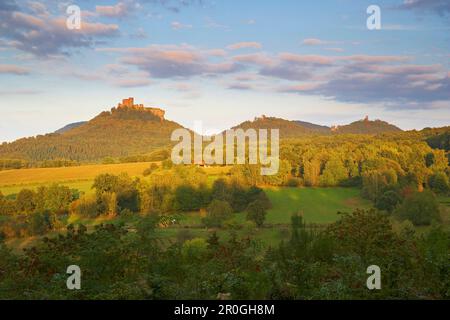 Castello di Trifels, Castello di Anebos, Castello di Scharfenberg, Annweiler, Renania-Palatinato, Germania Foto Stock