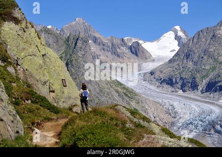 Ghiacciaio di Fiescher, Alpi Bernesi, Vallese, Svizzera Foto Stock