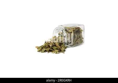 Foglie secche o Limone verbena in latino Aloysia citrodora che cade da un vaso di vetro isolato su sfondo bianco. Erba medicinale. Foglia di verbena al limone ex Foto Stock