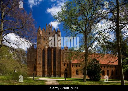 Gable occidentale del monastero di Chorin, monastero cistercense, Chorin, Uckermark, Brandeburgo, Germania, Europa Foto Stock