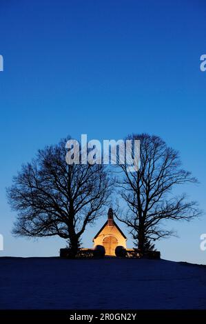 Cappella illuminata con due alberi, il lago Chiemsee, Chiemgau, Alta Baviera, Baviera, Germania, Europa Foto Stock