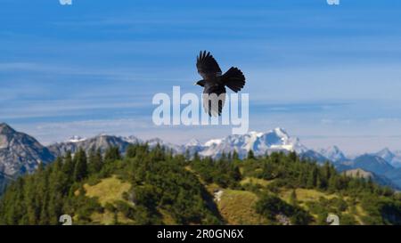 Il canale alpino sorvola le montagne, le Alpi, l'alta Baviera, la Germania Foto Stock