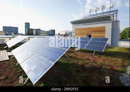 Piccole turbine eoliche e impianti solari sul tetto, Friburgo in Breisgau, Baden-Wuerttemberg, Germania, Europa Foto Stock