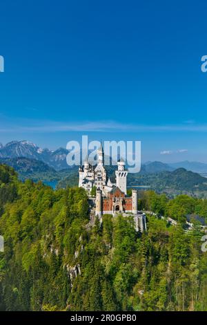 Vista del Castello di Neuschwanstein con Tannheimer montagne sullo sfondo, Est Allgaeu, Germania, Europa Foto Stock