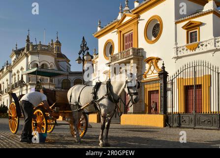 Carrozza trainata da cavalli di fronte all'arena la Maestranza, Siviglia, Andalusia, Spagna Foto Stock