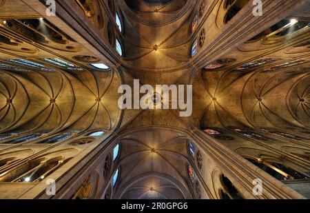 Soffitto, Cattedrale di Notre Dame, Parigi, Francia Foto Stock