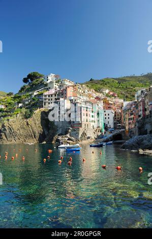 Vista sulla baia con porticciolo a Riomaggiore, cinque Terre, Liguria, Italia Foto Stock