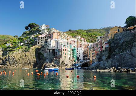 Vista sulla baia con porticciolo a Riomaggiore, cinque Terre, Liguria, Italia Foto Stock