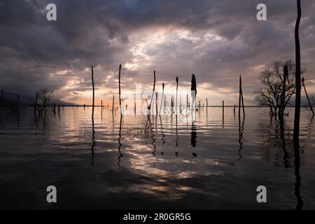 Impressioni di Saltlake lago Enriquillo, Isla Cabritos National Park, Repubblica Dominicana Foto Stock