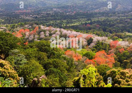 Colline dell'entroterra, Punta Rucia, Repubblica Dominicana Foto Stock