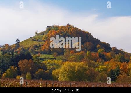 Il castello di Staufen, Autunno, Markgraflerland, nella parte meridionale della Foresta Nera, Foresta Nera, Baden Wuerttemberg, Germania, Europa Foto Stock