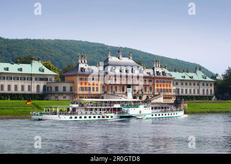 Ruota a pale a vapore sul fiume Elba, al castello di Pillnitz, Sassonia, Germania, Europa Foto Stock