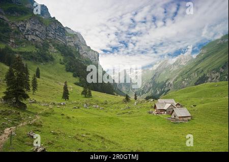 Alp con capanna alpina a Seealpsee, Alpsteingebirge, Saentis, Appenzeller Land, Svizzera, Europa Foto Stock