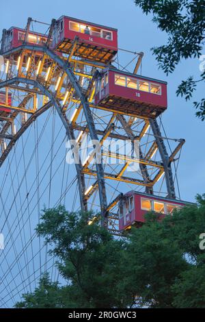 Vista sugli alberi sulla ruota panoramica illuminata, Prater, 2. Bezirk, Leopoldstadt, Vienna, Austria, Europa Foto Stock