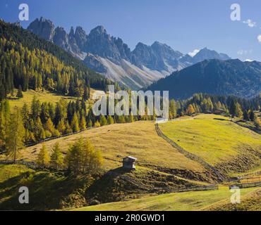 Capanna a Kemater Alp alla luce del sole, Kalkkoegel, Tirolo, Austria, Europa Foto Stock