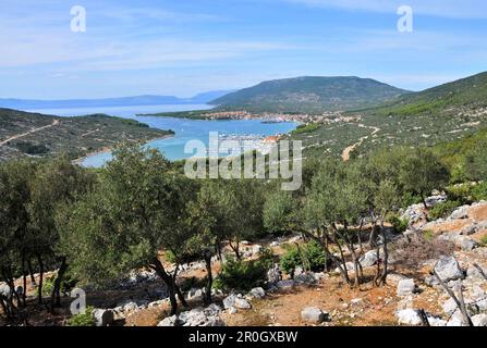 Bay e la vista della città di Cherso, Isola di Cherso, Kvarnen golfo, Croazia Foto Stock