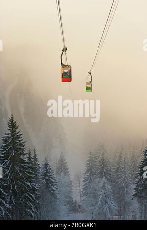 Paesaggio con la funivia in inverno, Schauinslandbahn, Foresta Nera, Baden-Wuerttemberg, Germania, Europa Foto Stock