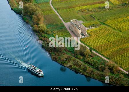 Vista da Bremmer Calmont vigna a Stuben rovine del monastero, Bremm, Mosella, Renania-Palatinato, Germania, Europa Foto Stock