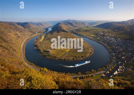 Vista dal vigneto Bremmer Calmont sulla sinusosità della Mosella, Brema, Mosella, Renania-Palatinato, Germania, Europa Foto Stock