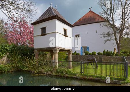 A Pigeonry Graefinthal in primavera, Mandelbachtal, Bliesgau, Saarland, Germania, Europa Foto Stock