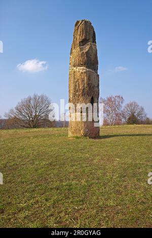 Gollenstein monolito in un prato, punto di riferimento della città di Blieskastel, Bliesgau, Saarland, Germania, Europa Foto Stock